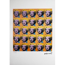 Andy Warhol Lithograph Offset 199 Ex. Numbered 29.7 x 42 cm Signature Certificate