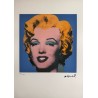 Andy Warhol Lithograph Offset 199 Ex. Numbered 29.7 x 42 cm Signature Certificate