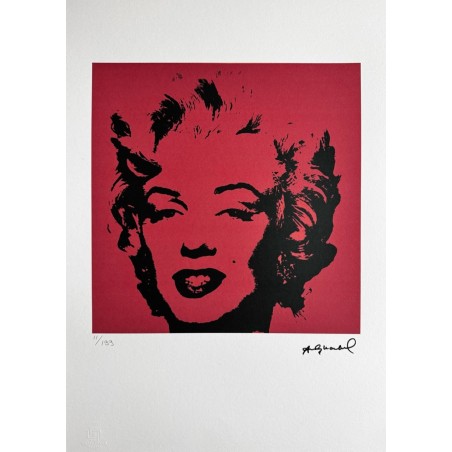 Andy Warhol Lithograph Offset 199 Ex. Numbered 29.7 x 42 cm Signature Certificate