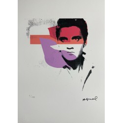 Andy Warhol Lithograph Offset 199 Ex. Numbered 29.7 x 42 cm Signature Certificate