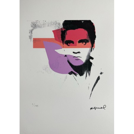 Andy Warhol Lithograph Offset 199 Ex. Numbered 29.7 x 42 cm Signature Certificate