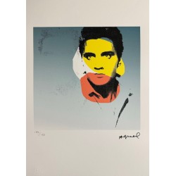 Andy Warhol Lithograph Offset 199 Ex. Numbered 29.7 x 42 cm Signature Certificate