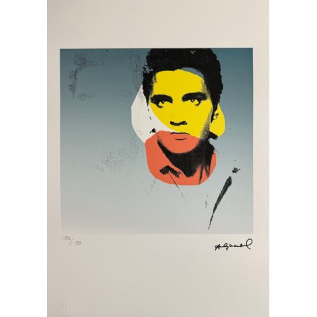 Andy Warhol Lithograph Offset 199 Ex. Numbered 29.7 x 42 cm Signature Certificate