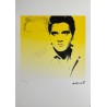 Andy Warhol Lithograph Offset 199 Ex. Numbered 29.7 x 42 cm Signature Certificate