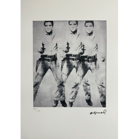 Andy Warhol Lithograph Offset 199 Ex. Numbered 29.7 x 42 cm Signature Certificate