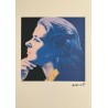 Andy Warhol Lithograph Offset 199 Ex. Numbered 29.7 x 42 cm Signature Certificate