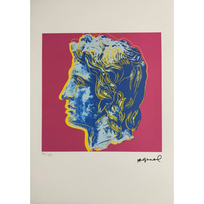 Andy Warhol Lithograph Offset 199 Ex. Numbered 29.7 x 42 cm Signature Certificate