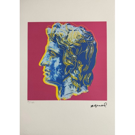 Andy Warhol Lithograph Offset 199 Ex. Numbered 29.7 x 42 cm Signature Certificate