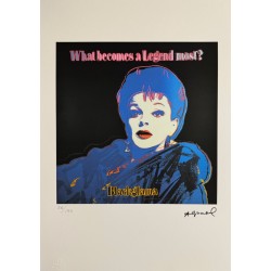 Andy Warhol Lithograph Offset 199 Ex. Numbered 29.7 x 42 cm Signature Certificate