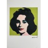 Andy Warhol Lithograph Offset 199 Ex. Numbered 29.7 x 42 cm Signature Certificate