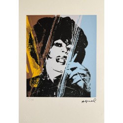 Andy Warhol Lithograph Offset 199 Ex. Numbered 29.7 x 42 cm Signature Certificate