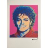 Andy Warhol Lithograph Offset 199 Ex. Numbered 29.7 x 42 cm Signature Certificate