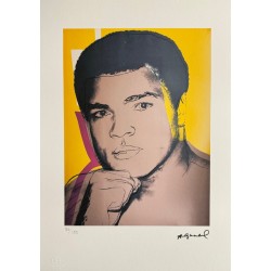 Andy Warhol Lithograph Offset 199 Ex. Numbered 29.7 x 42 cm Signature Certificate