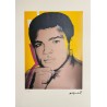 Andy Warhol Lithograph Offset 199 Ex. Numbered 29.7 x 42 cm Signature Certificate