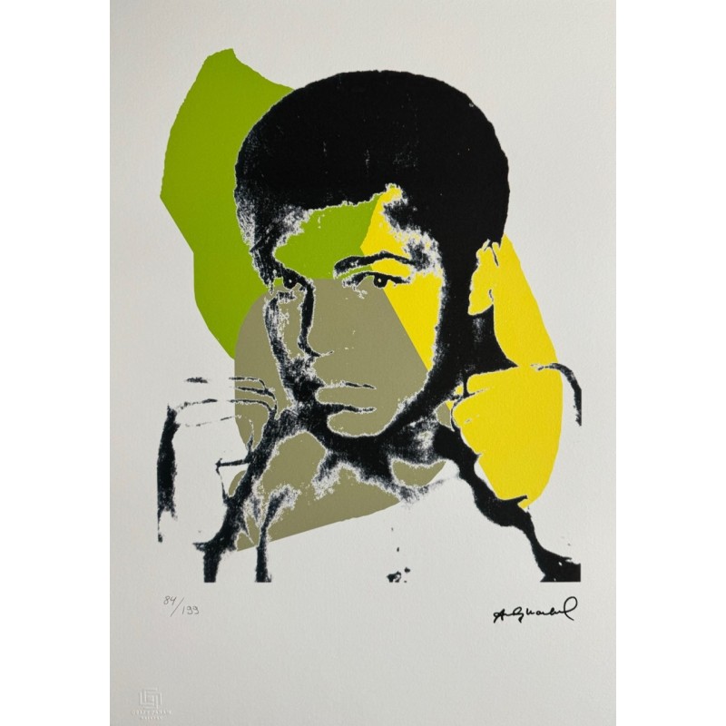 Andy Warhol Lithograph Offset 199 Ex. Numbered 29.7 x 42 cm Signature Certificate