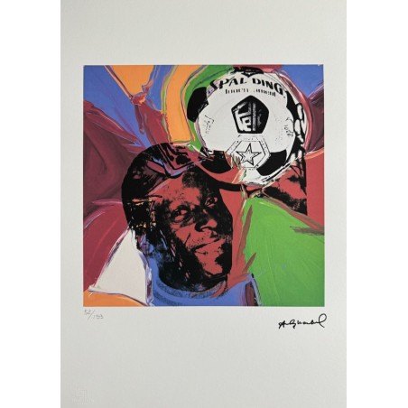 Andy Warhol Lithograph Offset 199 Ex. Numbered 29.7 x 42 cm Signature Certificate