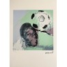 Andy Warhol Lithograph Offset 199 Ex. Numbered 29.7 x 42 cm Signature Certificate