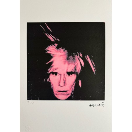 Andy Warhol Lithograph Offset 199 Ex. Numbered 29.7 x 42 cm Signature Certificate