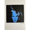 Andy Warhol Lithograph Offset 199 Ex. Numbered 29.7 x 42 cm Signature Certificate