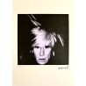 Andy Warhol Lithograph Offset 199 Ex. Numbered 29.7 x 42 cm Signature Certificate