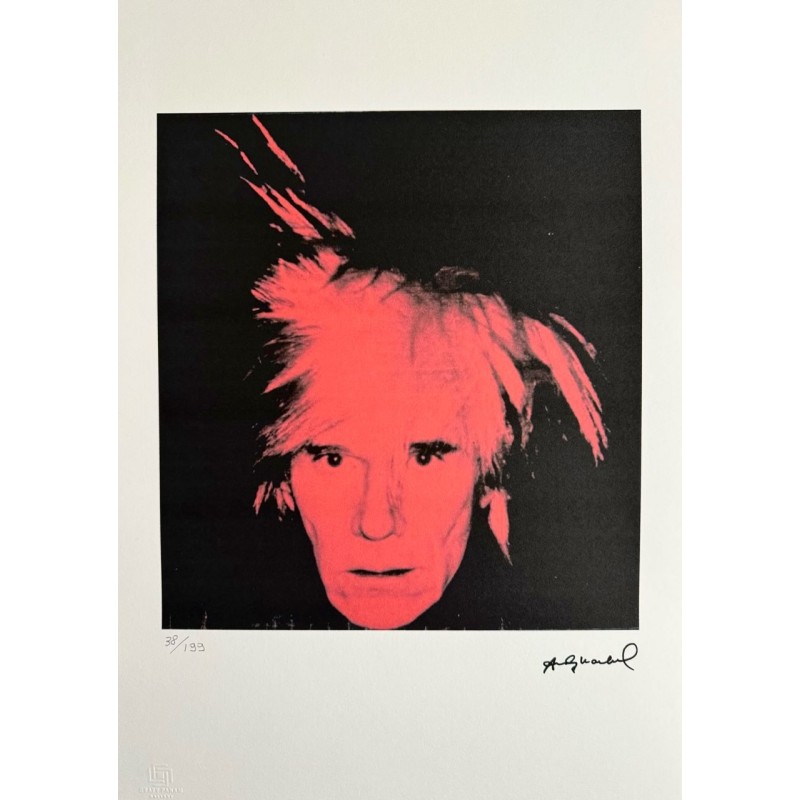 Andy Warhol Lithograph Offset 199 Ex. Numbered 29.7 x 42 cm Signature ...