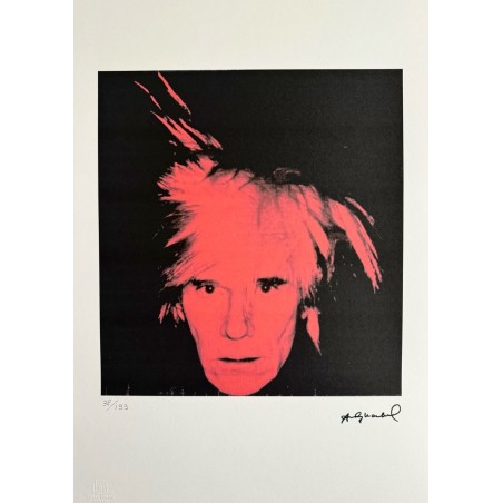 Andy Warhol Lithograph Offset 199 Ex. Numbered 29.7 x 42 cm Signature Certificate