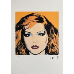 Andy Warhol Lithograph Offset 199 Ex. Numbered 29.7 x 42 cm Signature Certificate