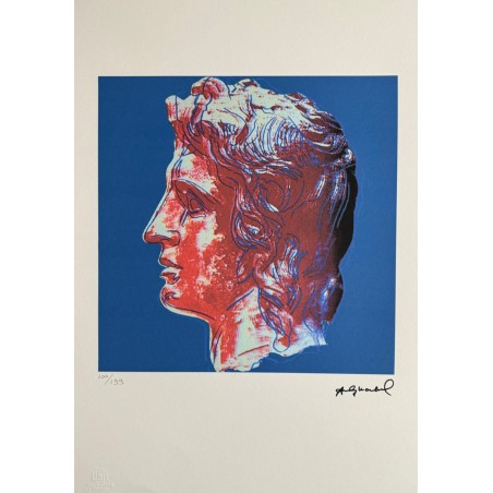 Andy Warhol Lithograph Offset 199 Ex. Numbered 29.7 x 42 cm Signature Certificate