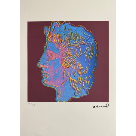 Andy Warhol Lithograph Offset 199 Ex. Numbered 29.7 x 42 cm Signature Certificate