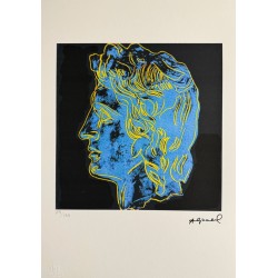 Andy Warhol Lithograph Offset 199 Ex. Numbered 29.7 x 42 cm Signature Certificate