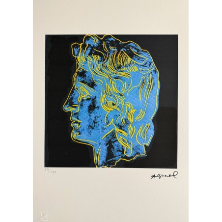 Andy Warhol Lithograph Offset 199 Ex. Numbered 29.7 x 42 cm Signature Certificate