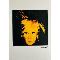 Andy Warhol Lithograph Offset 199 Ex. Numbered 29.7 x 42 cm Signature Certificate