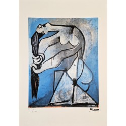 Pablo Picasso Lithograph Offset 199 Ex. Numbered 29.7 x 42 cm Signature Certificate