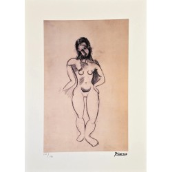 Pablo Picasso Lithograph Offset 199 Ex. Numbered 29.7 x 42 cm Signature Certificate