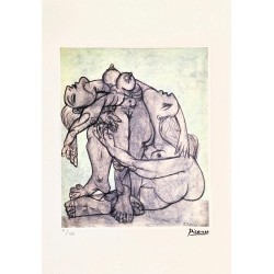 Pablo Picasso Lithograph Offset 199 Ex. Numbered 29.7 x 42 cm Signature Certificate