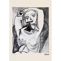 Pablo Picasso Lithograph Offset 199 Ex. Numbered 29.7 x 42 cm Signature Certificate