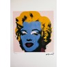 Andy Warhol Lithograph Offset 199 Ex. Numbered 29.7 x 42 cm Signature Certificate