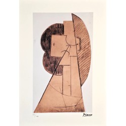 Pablo Picasso Lithograph Offset 199 Ex. Numbered 29.7 x 42 cm Signature Certificate