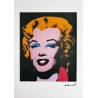 Andy Warhol Lithograph Offset 199 Ex. Numbered 29.7 x 42 cm Signature Certificate