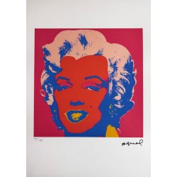 Andy Warhol Lithograph Offset 199 Ex. Numbered 29.7 x 42 cm Signature Certificate