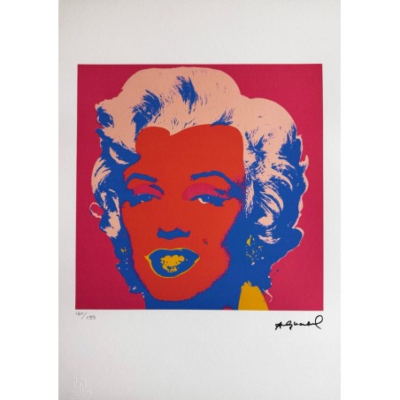 Andy Warhol Lithograph Offset 199 Ex. Numbered 29.7 x 42 cm Signature Certificate