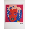 Andy Warhol Lithograph Offset 199 Ex. Numbered 29.7 x 42 cm Signature Certificate