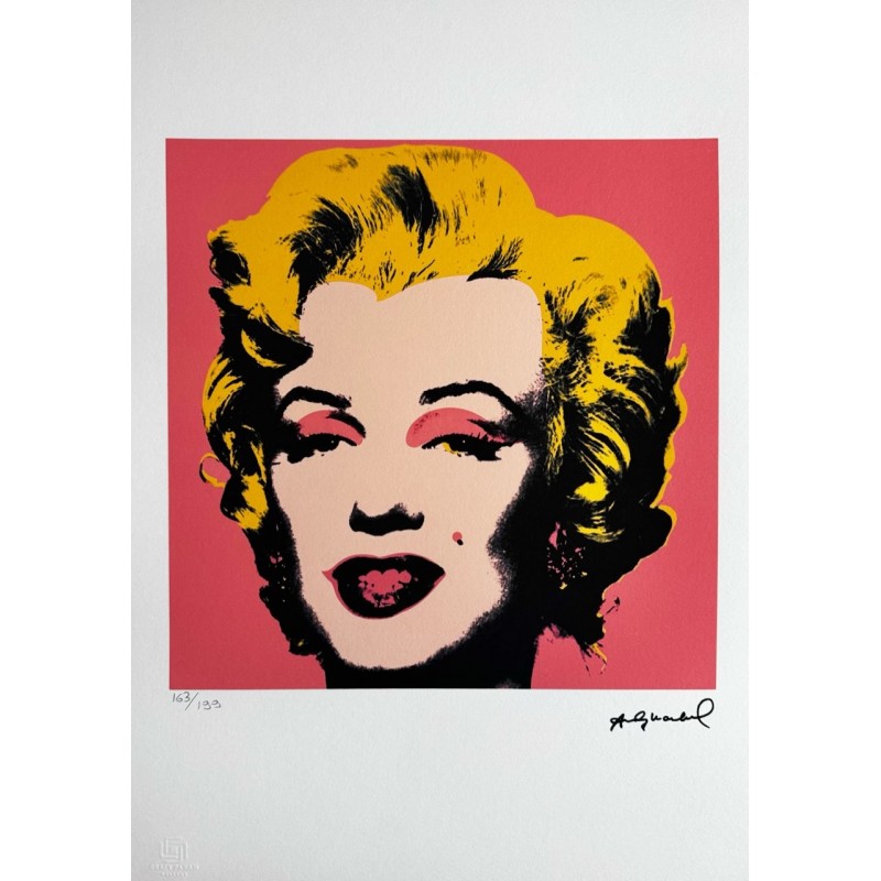 Andy Warhol Lithograph Offset 199 Ex. Numbered 29.7 x 42 cm Signature ...