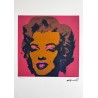 Andy Warhol Lithograph Offset 199 Ex. Numbered 29.7 x 42 cm Signature Certificate