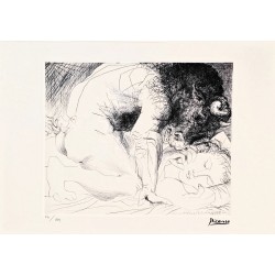 Pablo Picasso Lithograph Offset 199 Ex. Numbered 29.7 x 42 cm Signature Certificate