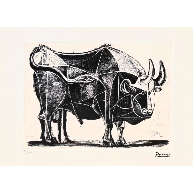 Pablo Picasso Lithograph Offset 199 Ex. Numbered 29.7 x 42 cm Signature Certificate