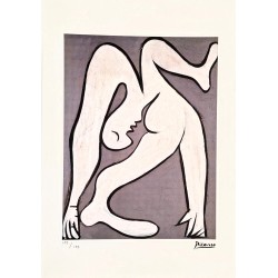 Pablo Picasso Lithograph Offset 199 Ex. Numbered 29.7 x 42 cm Signature Certificate