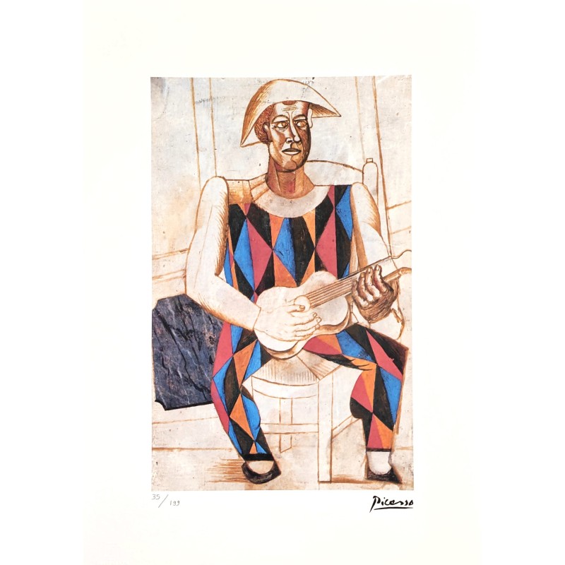 Pablo Picasso Lithograph Offset 199 Ex. Numbered 29.7 x 42 cm Signature Certificate