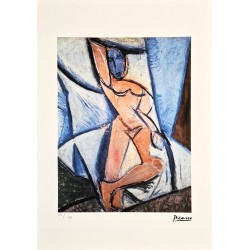 Pablo Picasso Lithograph Offset 199 Ex. Numbered 29.7 x 42 cm Signature Certificate