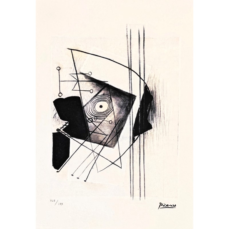 Pablo Picasso Lithograph Offset 199 Ex. Numbered 29.7 x 42 cm Signature Certificate